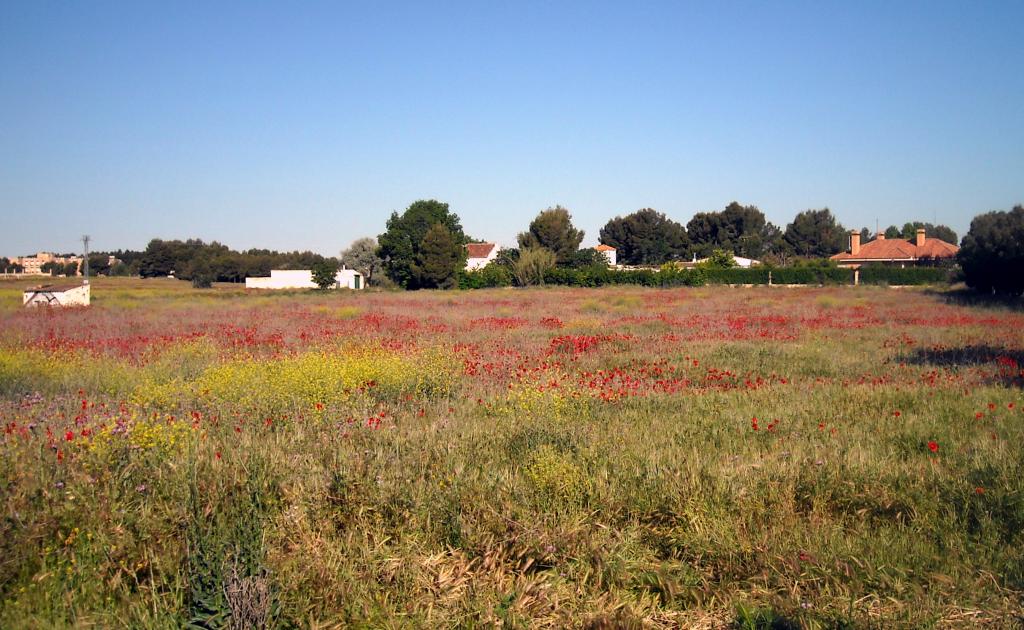 Foto de Albacete (Castilla La Mancha), España