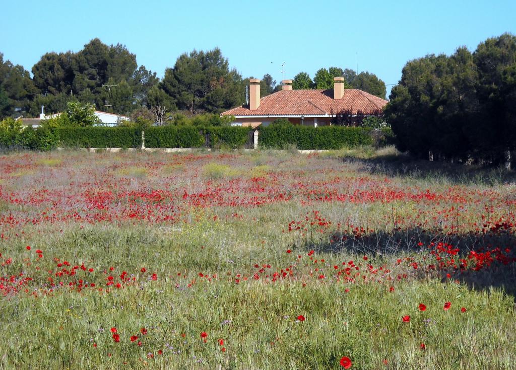 Foto de Albacete (Castilla La Mancha), España