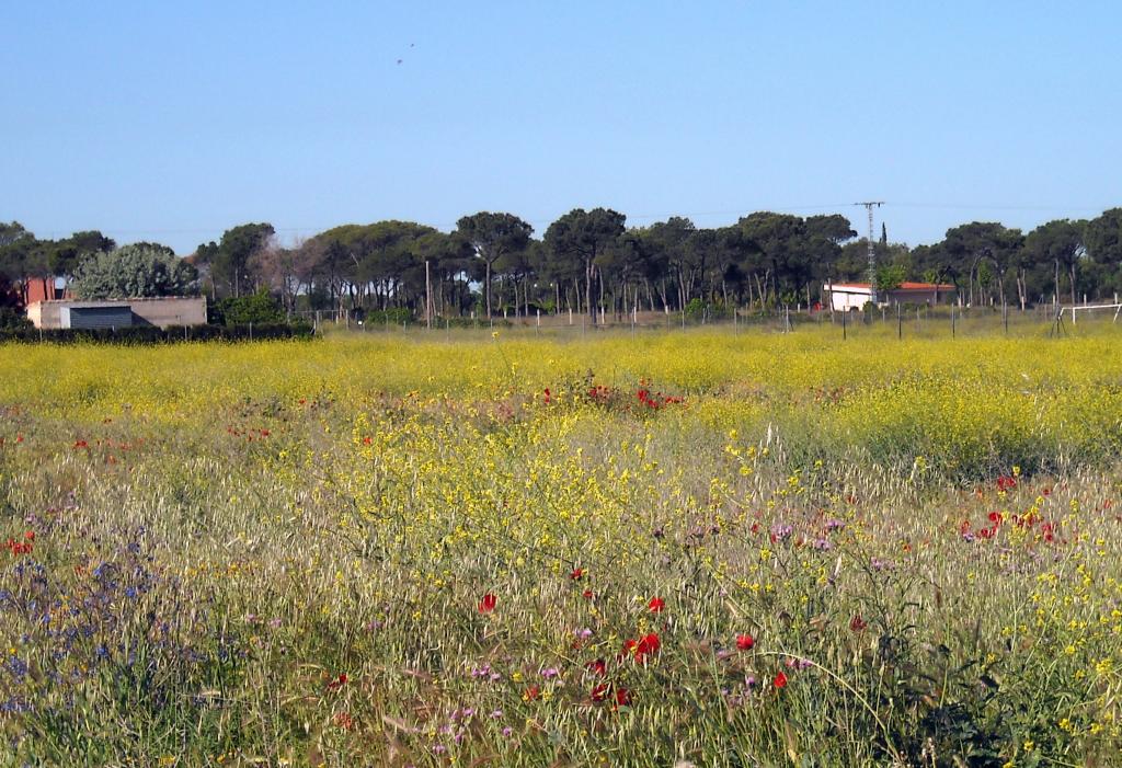 Foto de Albacete (Castilla La Mancha), España