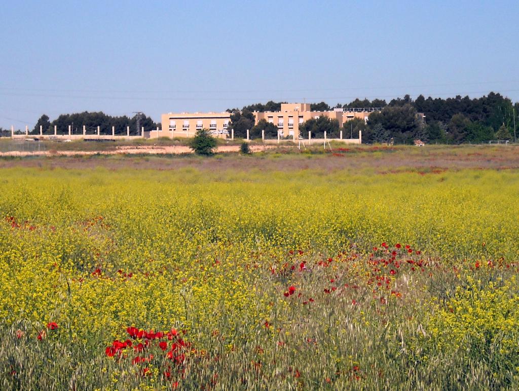 Foto de Albacete (Castilla La Mancha), España