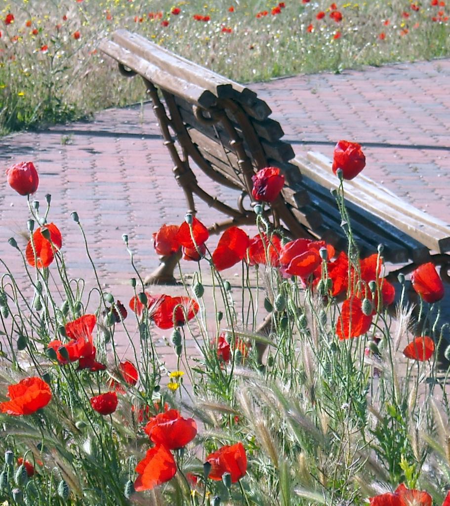 Foto de Albacete (Castilla La Mancha), España