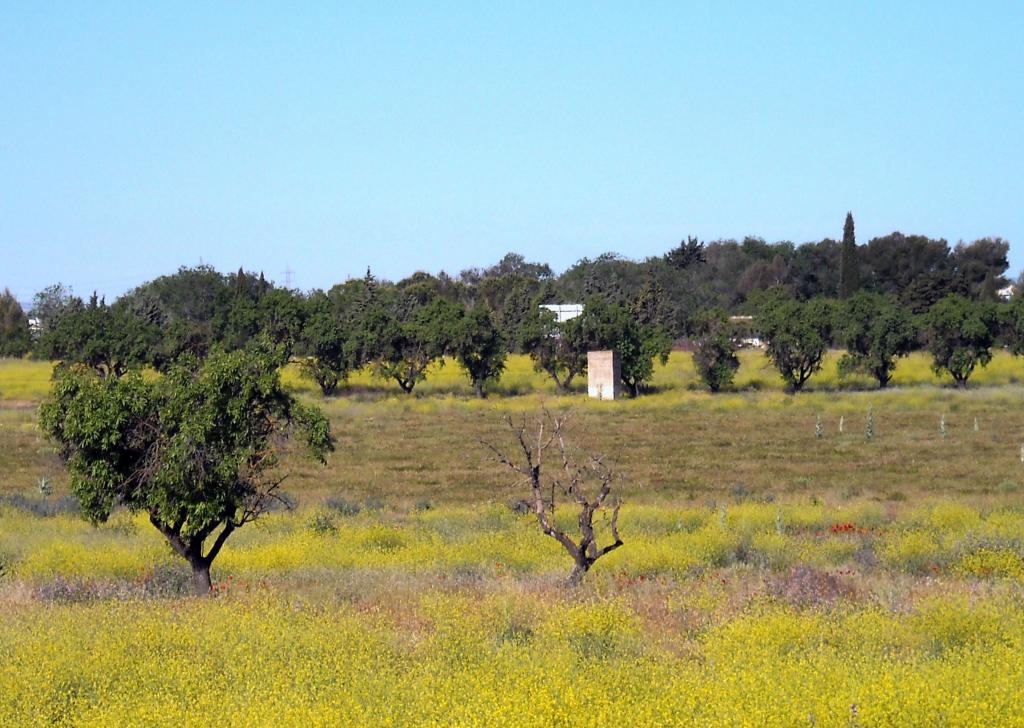 Foto de Albacete (Castilla La Mancha), España