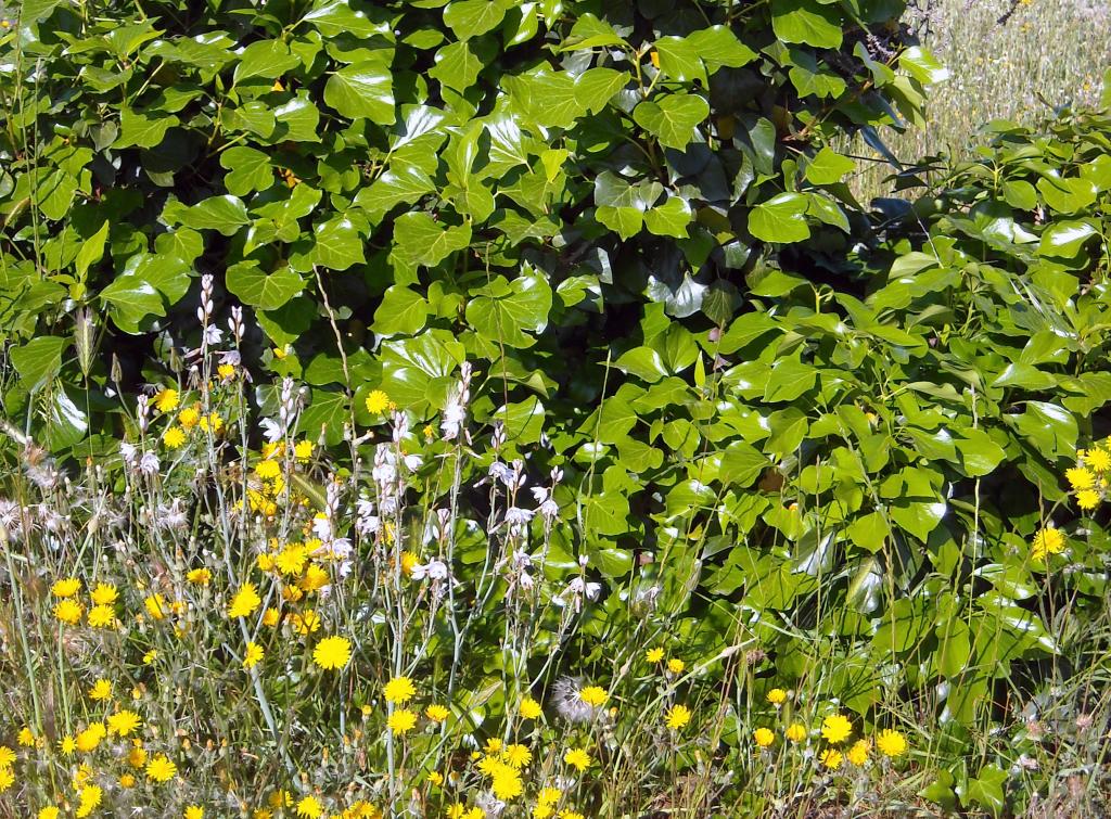 Foto de Albacete (Castilla La Mancha), España