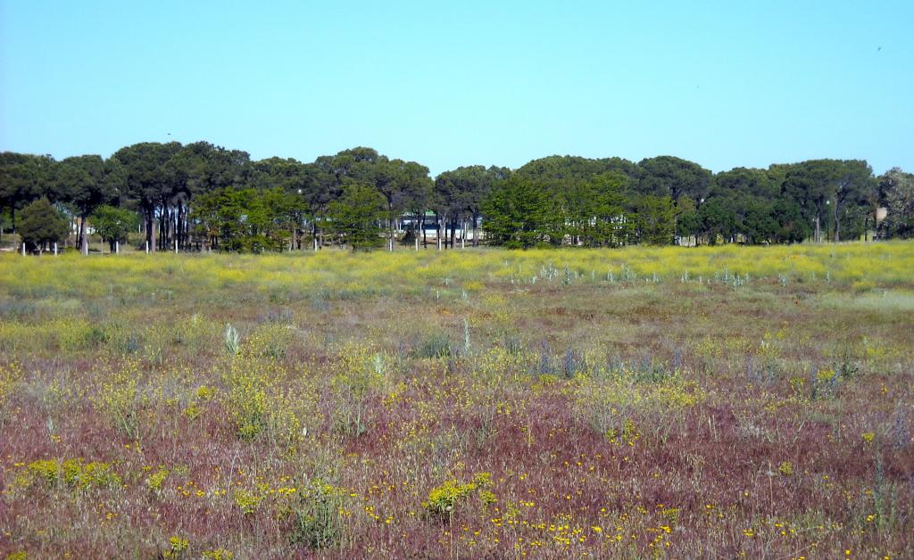 Foto de Albacete (Castilla La Mancha), España