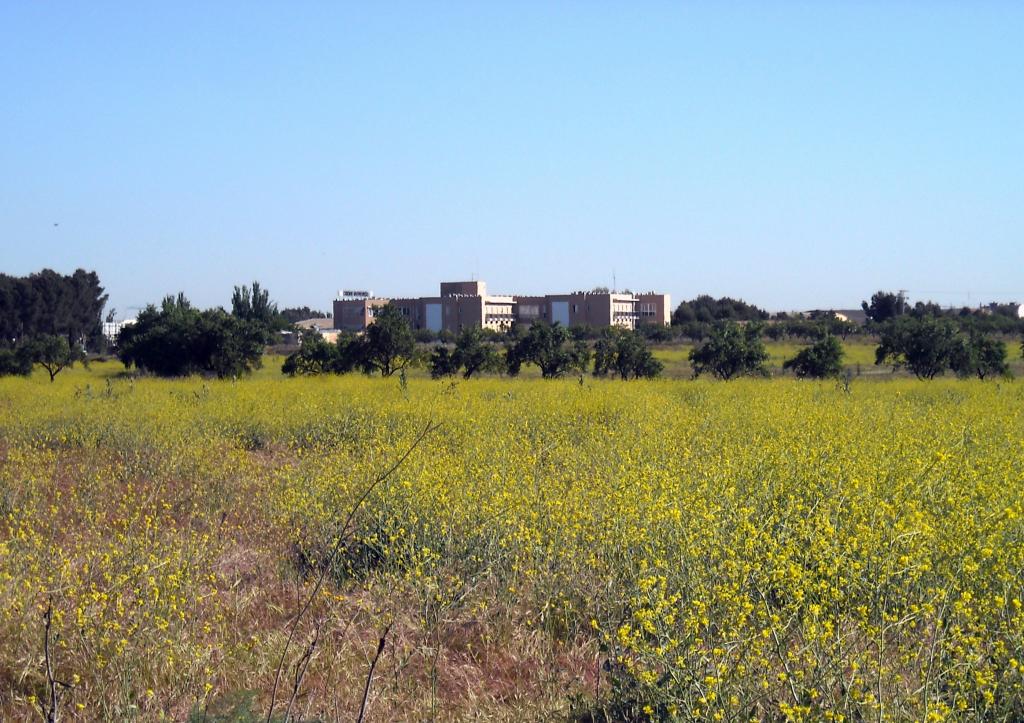 Foto de Albacete (Castilla La Mancha), España