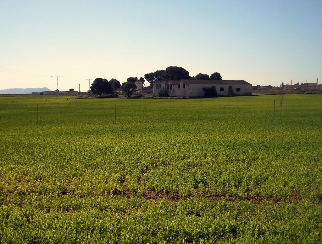 Foto de Albacete (Castilla La Mancha), España