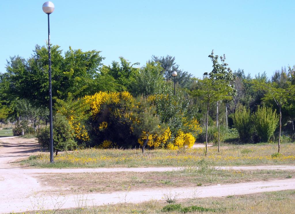Foto de Albacete (Castilla La Mancha), España
