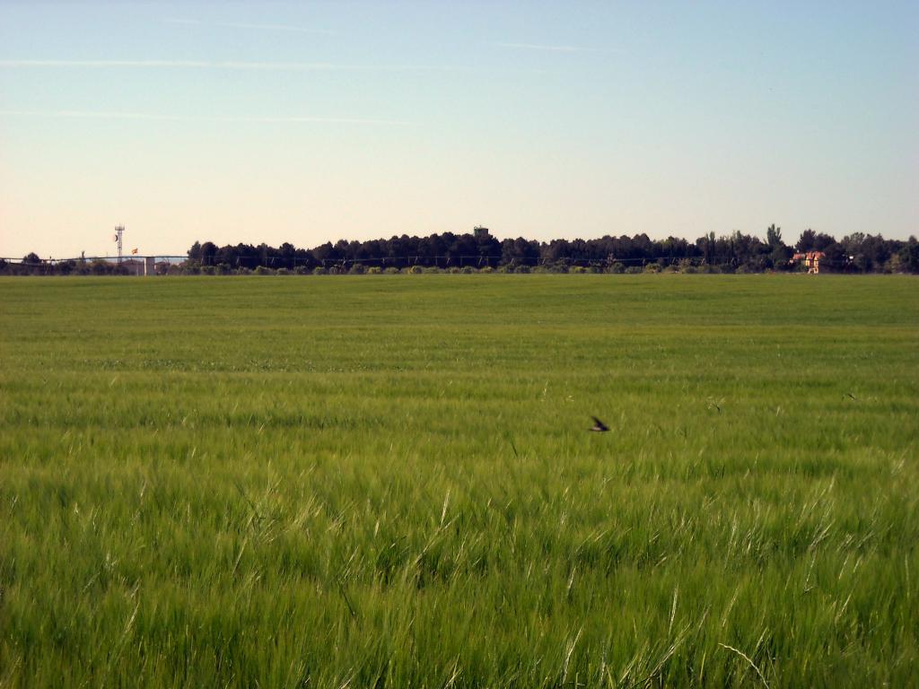 Foto de Albacete (Castilla La Mancha), España