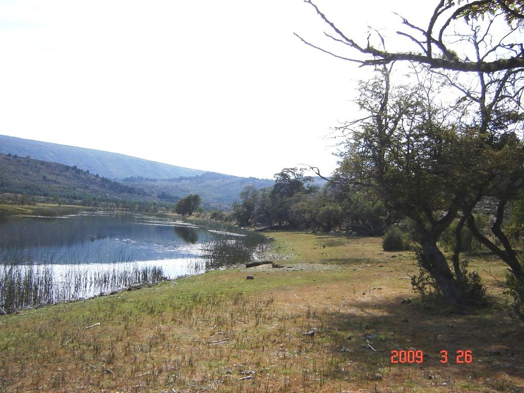 Foto de Aluminé (Neuquén), Argentina