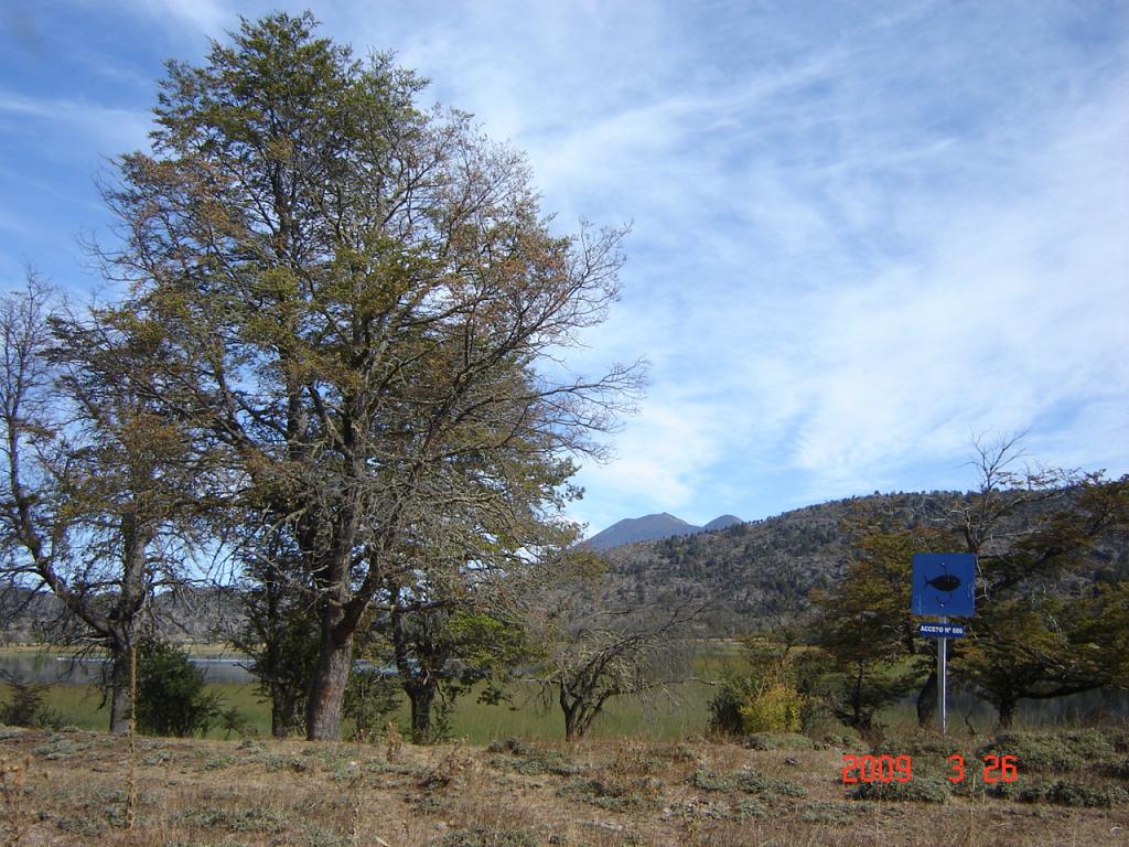 Foto de Aluminé (Neuquén), Argentina