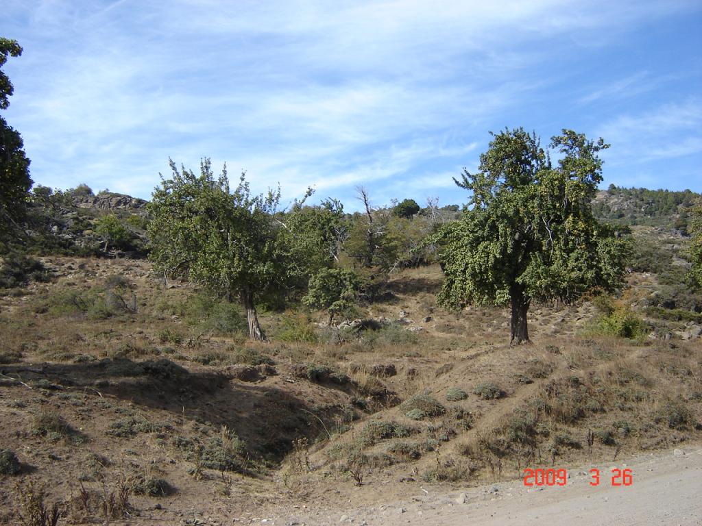Foto de Aluminé (Neuquén), Argentina