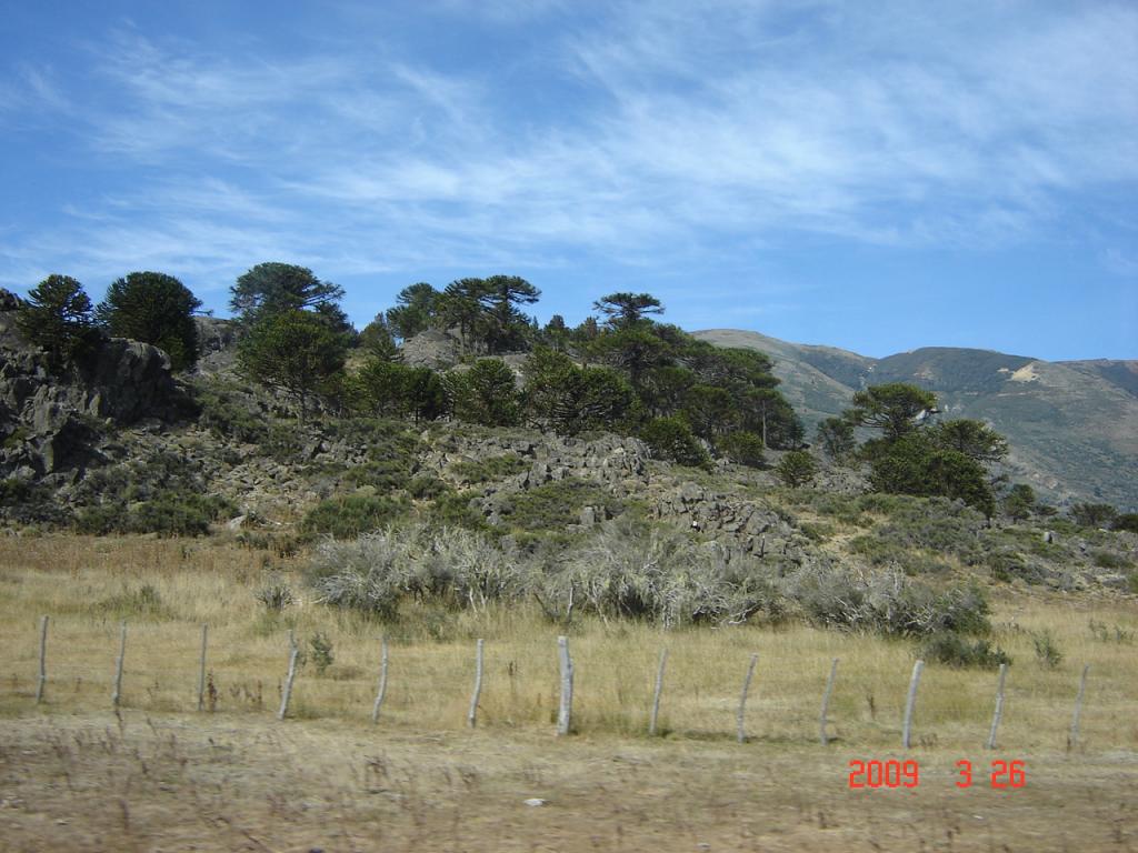 Foto de Aluminé (Neuquén), Argentina