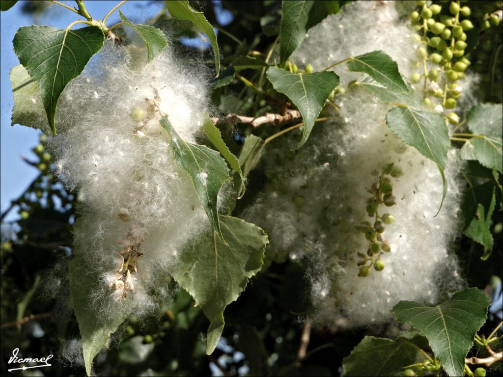 Foto de Fuentes de Ebro (Zaragoza), España