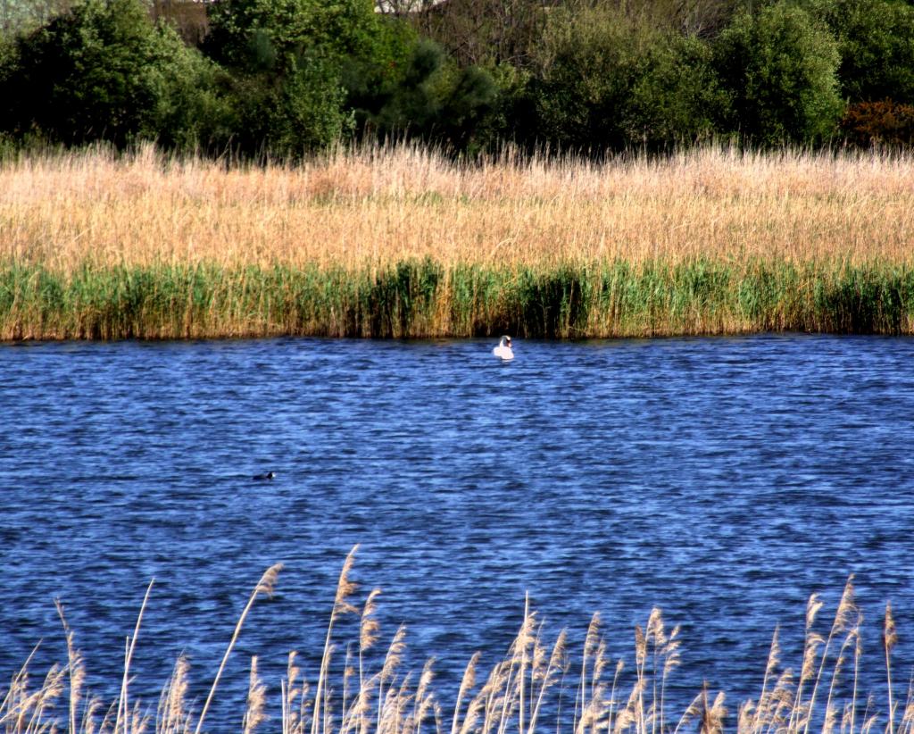 Foto de Astillero (Cantabria), España