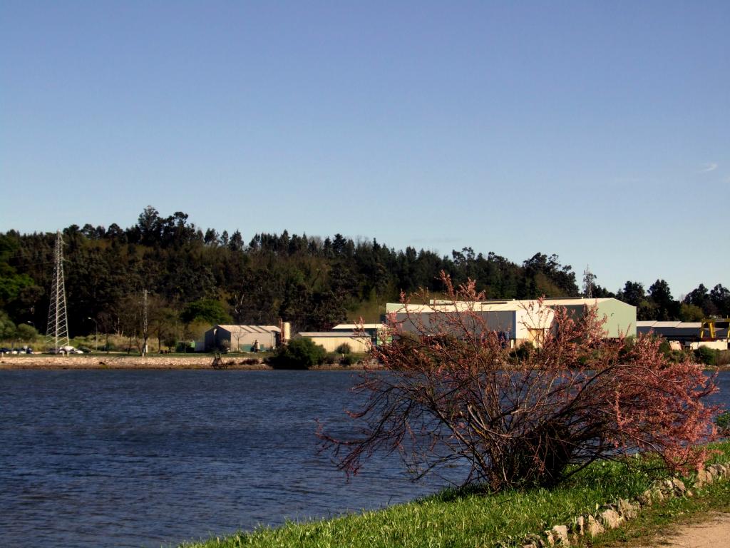 Foto de Astillero (Cantabria), España