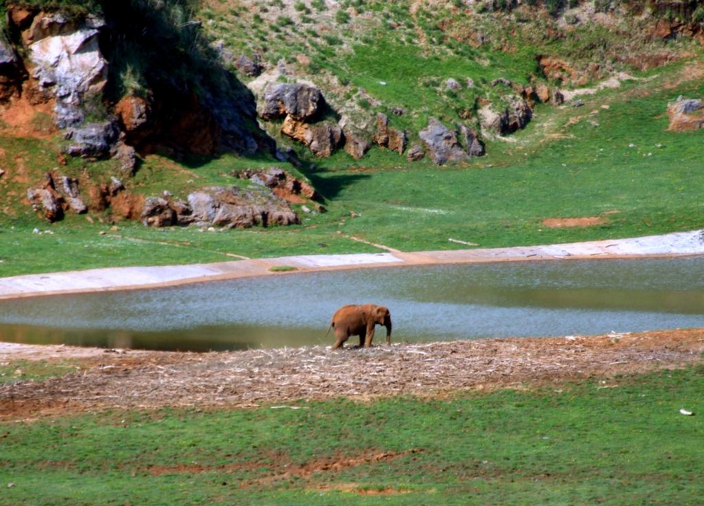 Foto de Cabarceno (Cantabria), España