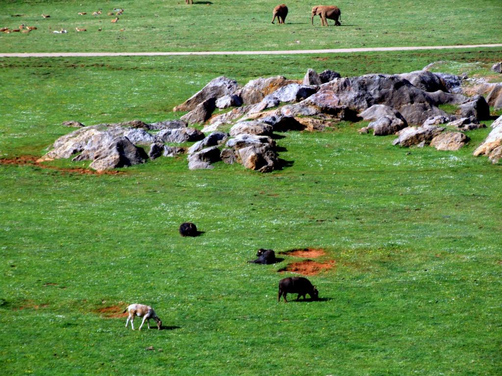 Foto de Cabarceno (Cantabria), España