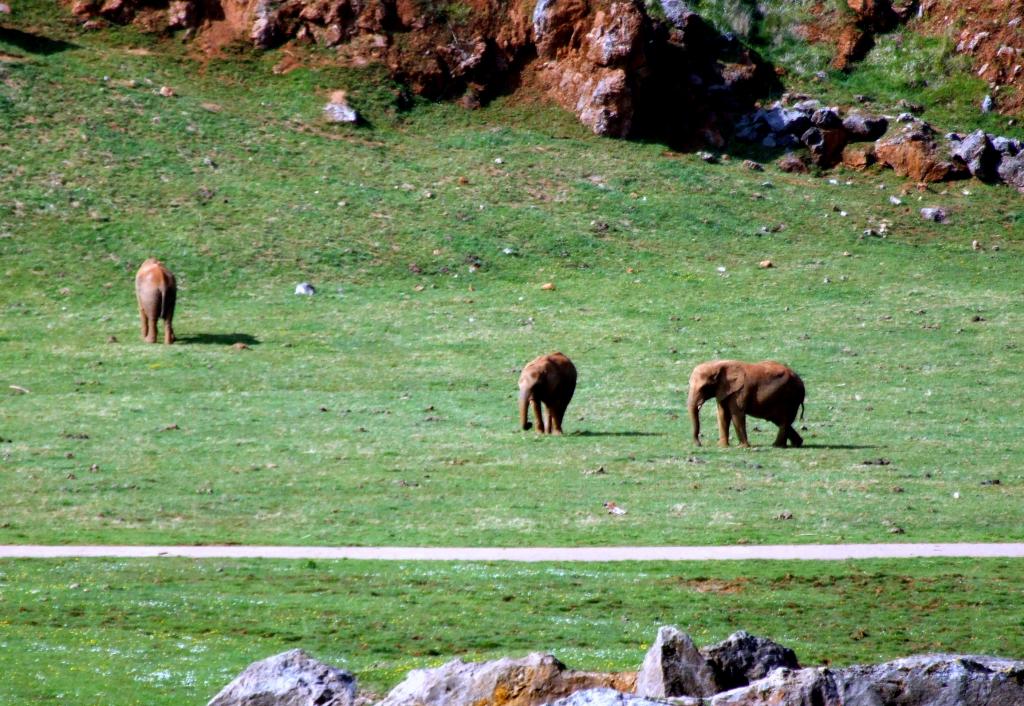 Foto de Cabarceno (Cantabria), España