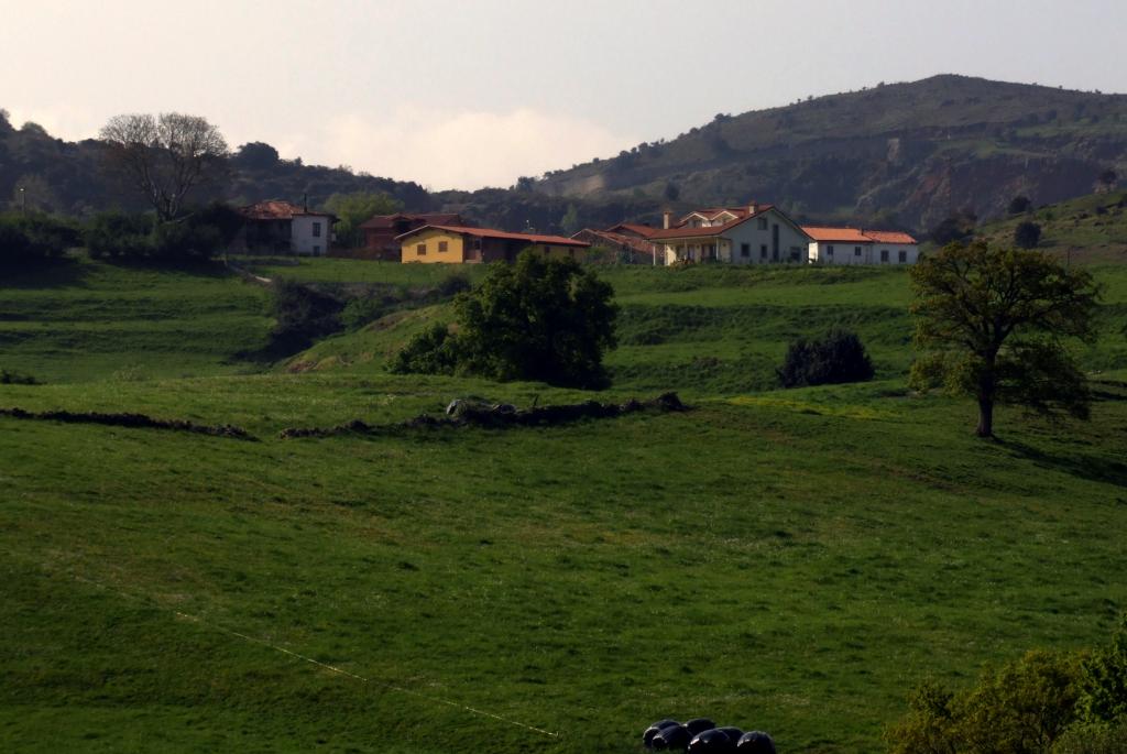 Foto de Cabarceno (Cantabria), España
