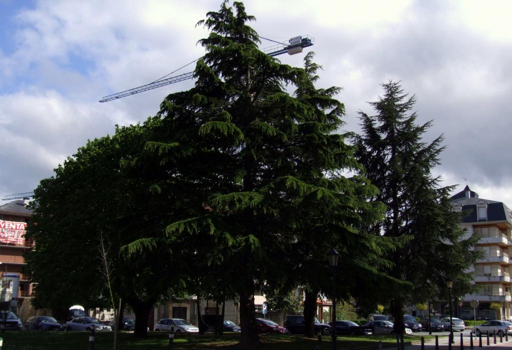 Foto de Colindres (Cantabria), España