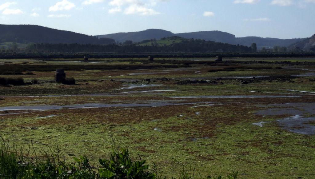 Foto de Colindres (Cantabria), España