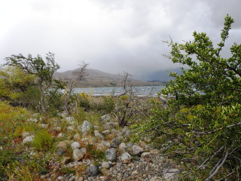 Foto de Junín de los Andes (Neuquén), Argentina
