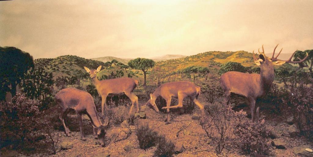 Foto de La Granja de San Ildefonso (Segovia), España