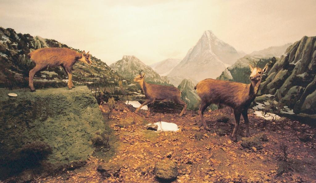 Foto de La Granja de San Ildefonso (Segovia), España