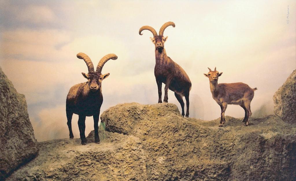 Foto de La Granja de San Ildefonso (Segovia), España