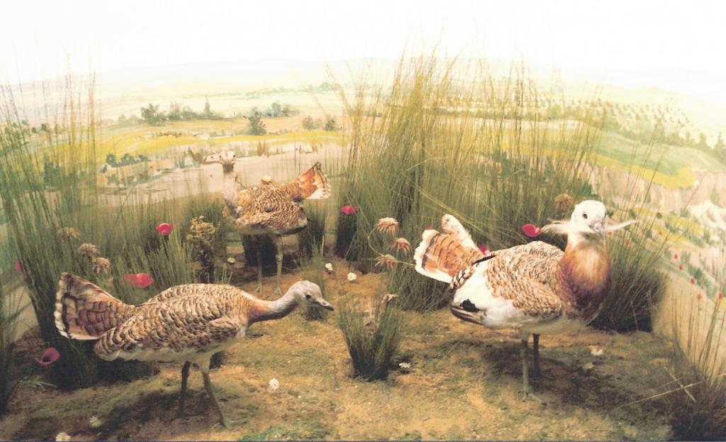 Foto de La Granja de San Ildefonso (Segovia), España