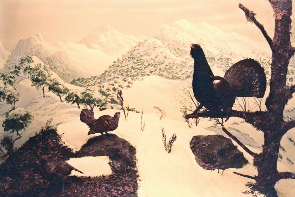 Foto de La Granja de San Ildefonso (Segovia), España