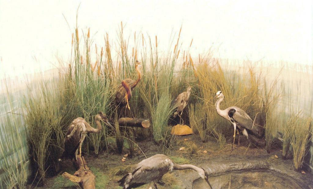 Foto de La Granja de San Ildefonso (Segovia), España