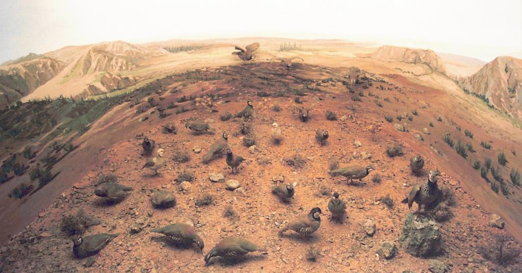 Foto de La Granja de San Ildefonso (Segovia), España