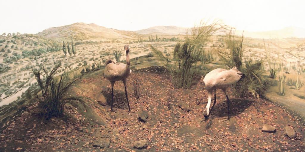 Foto de La Granja de San Ildefonso (Segovia), España