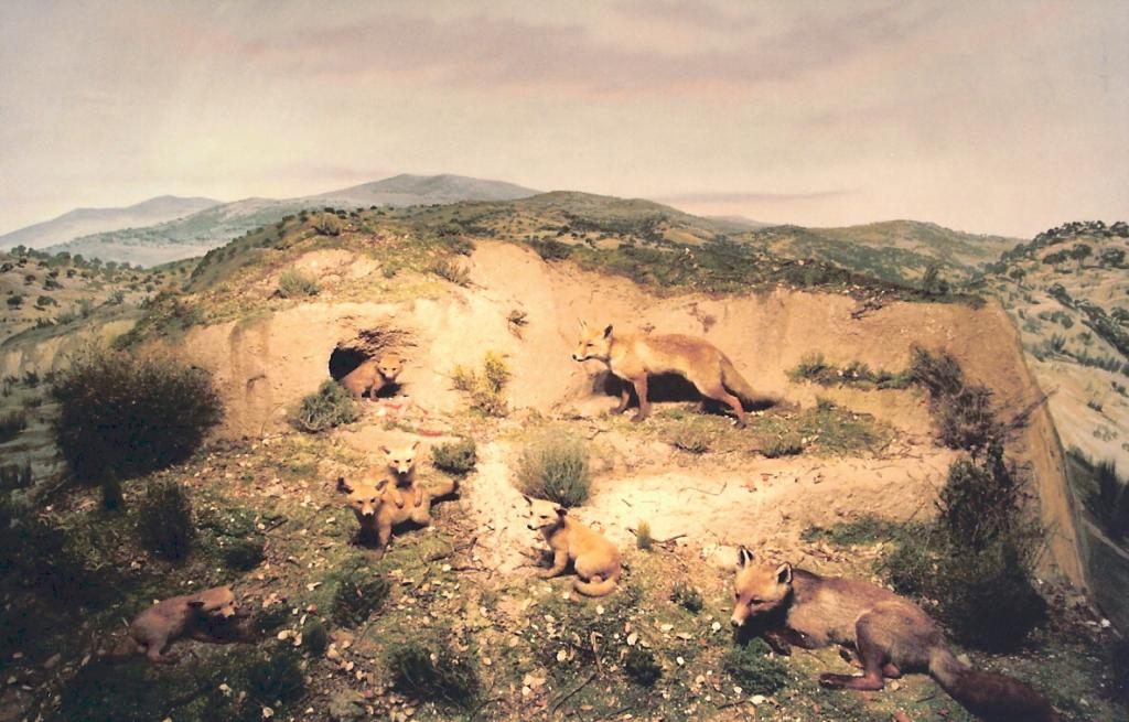 Foto de La Granja de San Ildefonso (Segovia), España