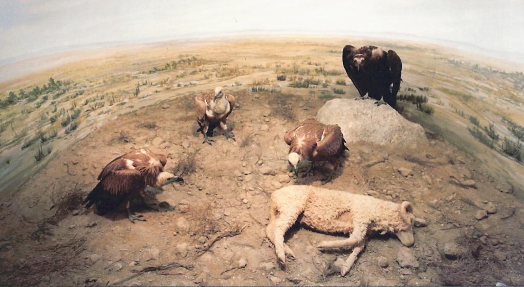 Foto de La Granja de San Ildefonso (Segovia), España