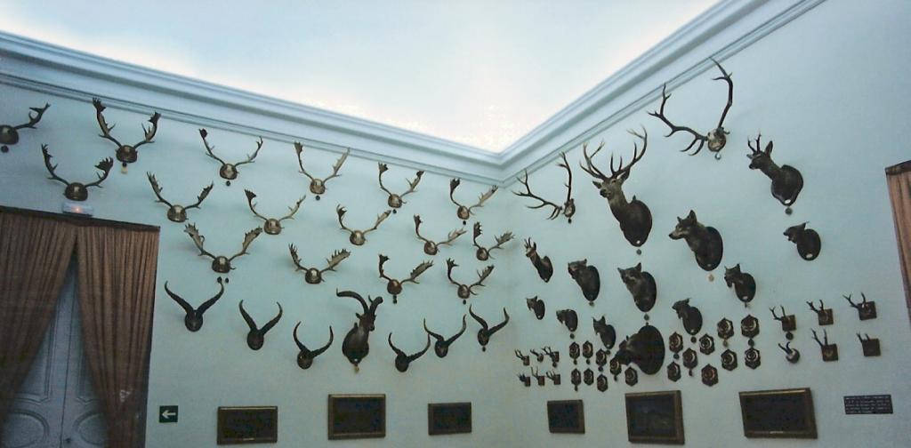 Foto de La Granja de San Ildefonso (Segovia), España