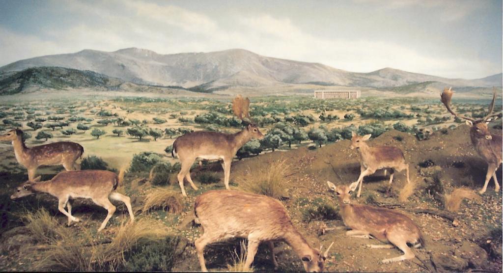 Foto de La Granja de San Ildefonso (Segovia), España