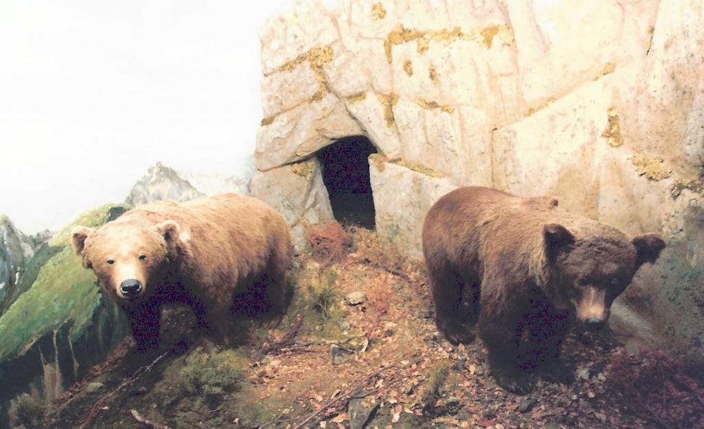 Foto de La Granja de San Ildefonso (Segovia), España