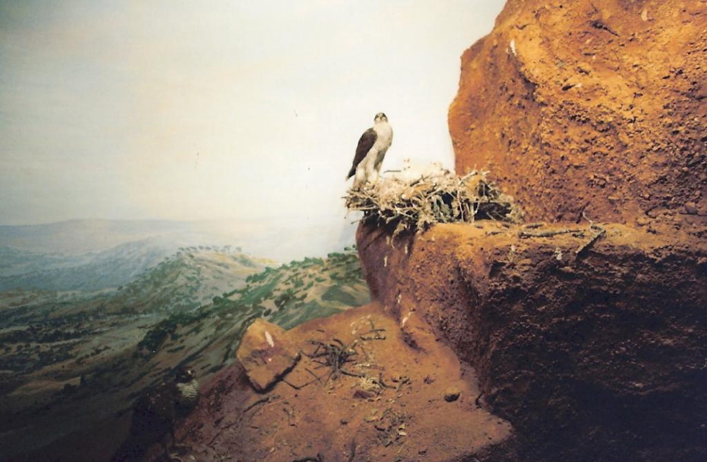 Foto de La Granja de San Ildefonso (Segovia), España