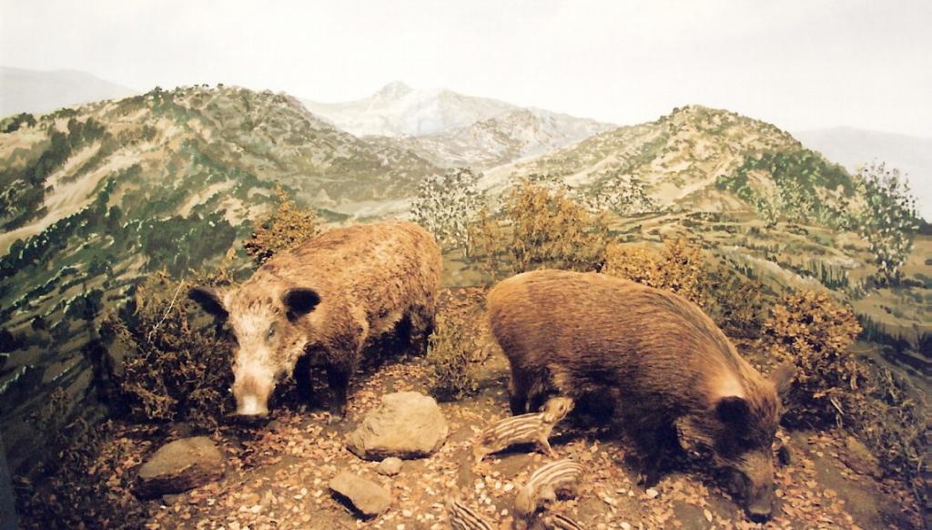 Foto de La Granja de San Ildefonso (Segovia), España