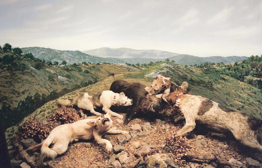 Foto de La Granja de San Ildefonso (Segovia), España