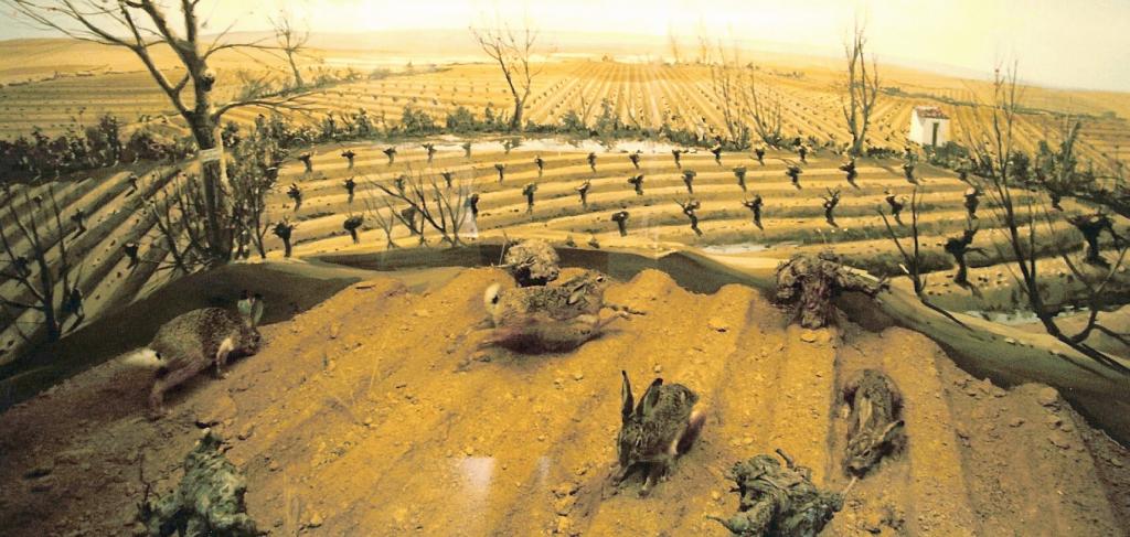 Foto de La Granja de San Ildefonso (Segovia), España