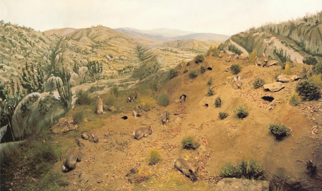 Foto de La Granja de San Ildefonso (Segovia), España