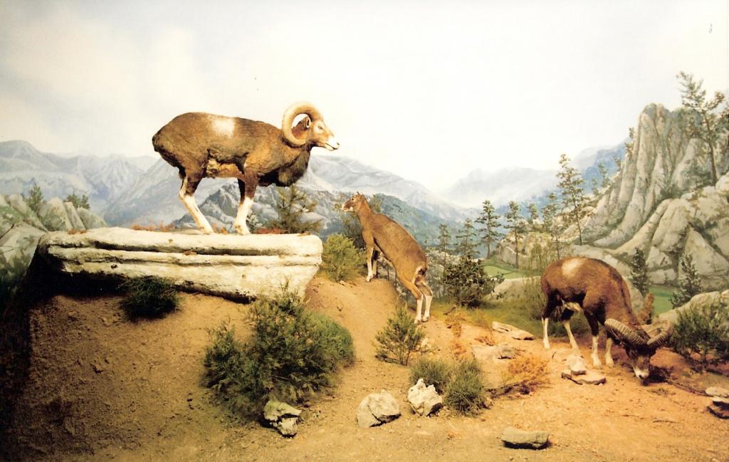 Foto de La Granja de San Ildefonso (Segovia), España