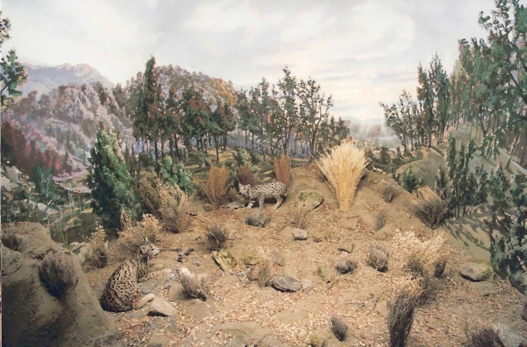 Foto de La Granja de San Ildefonso (Segovia), España