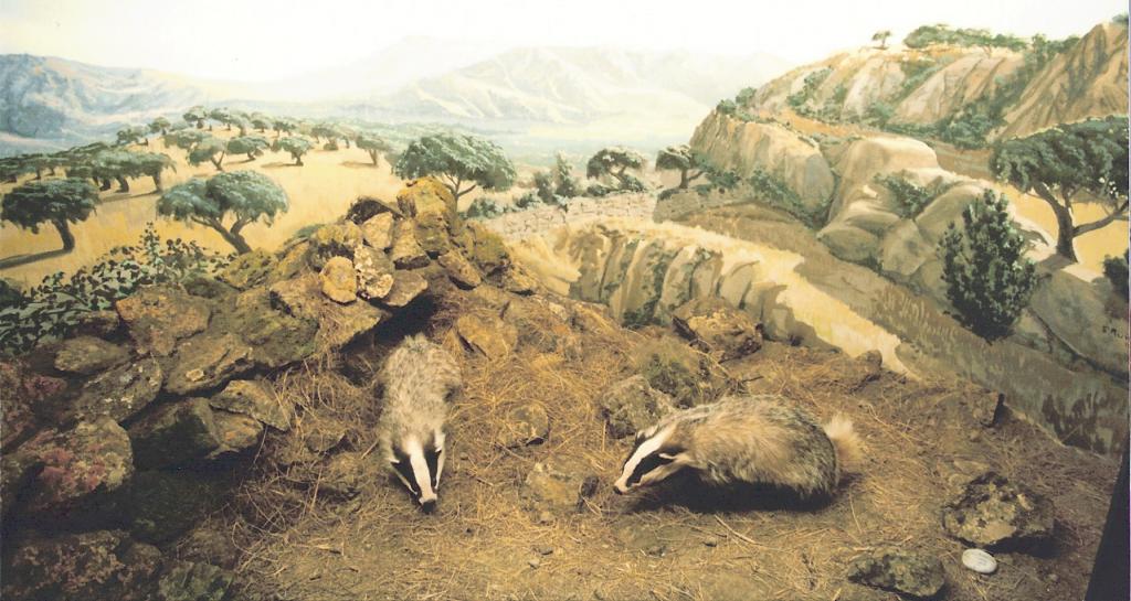 Foto de La Granja de San Ildefonso (Segovia), España