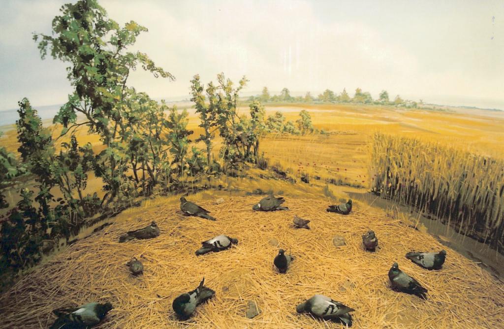 Foto de La Granja de San Ildefonso (Segovia), España