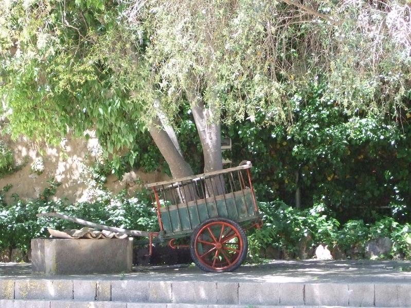 Foto de Mallorca (Illes Balears), España