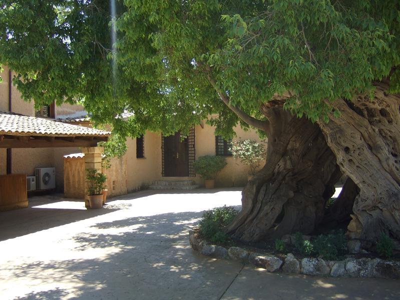 Foto de Mallorca (Illes Balears), España